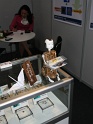 CeBIT 2010   035